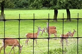 Deer Fence Products