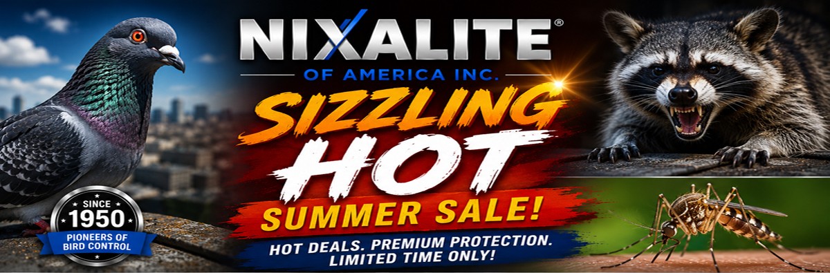 Nixalite Anniversary Sale Banner