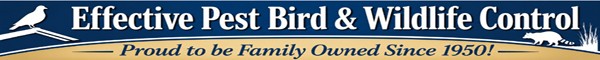 Effective Pest Bird & Wildlife Control Solutions Proud to be Family Owned and Operated Since 1950!