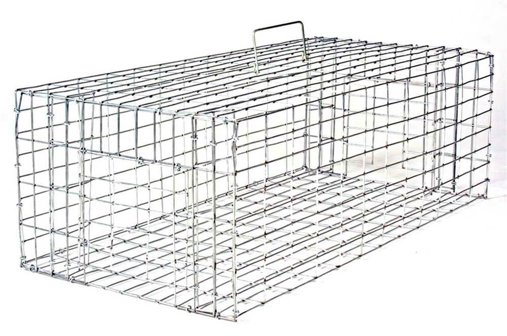 Collapsible Pigeon Trap 40 x 22 x 12