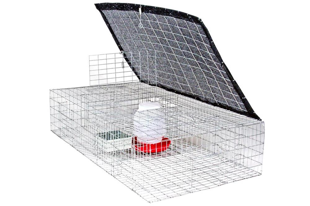 Pigeon Trap with Shade, Food & Water Containers (35 in. x 16 in. x 8 in.)