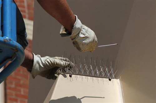 Bird Spike Installation Tool