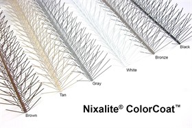 ColorCoat