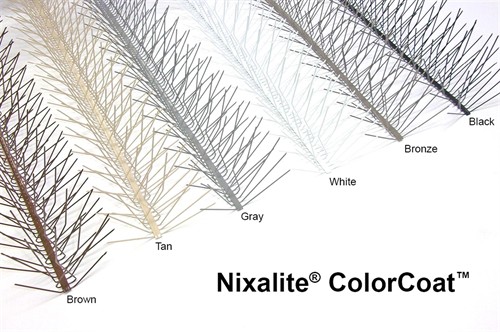 COLORCOAT SAMPLES