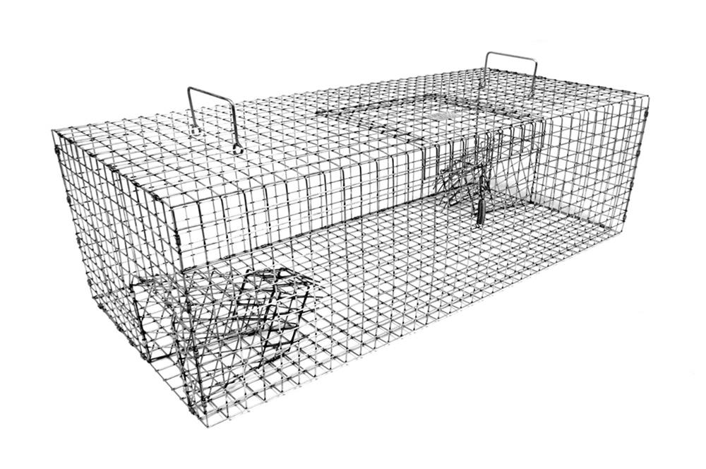 Tomahawk Pigeon Traps, Animal Control Traps