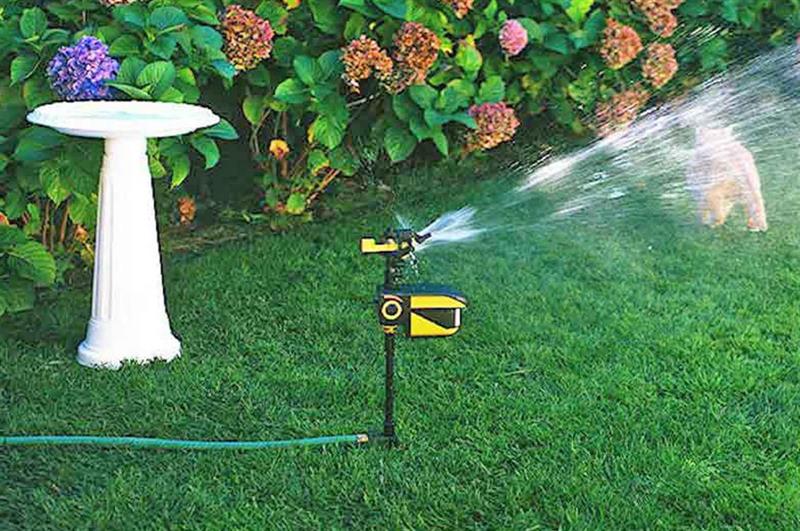 amazon scarecrow motion activated sprinkler