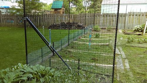 vegetable garden fence deer